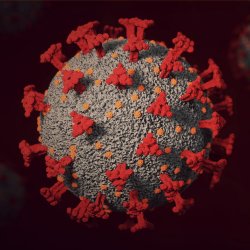 Gesprek met het Coronavirus