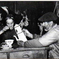 “Le bonheur est simple”. (Het geluk is eenvoudig)