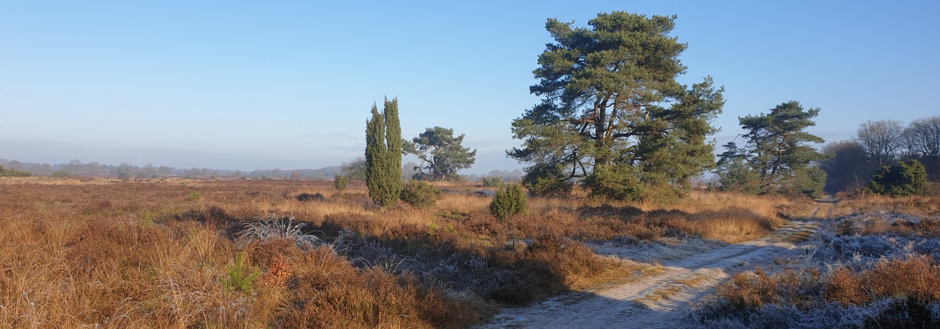 Winters landschap