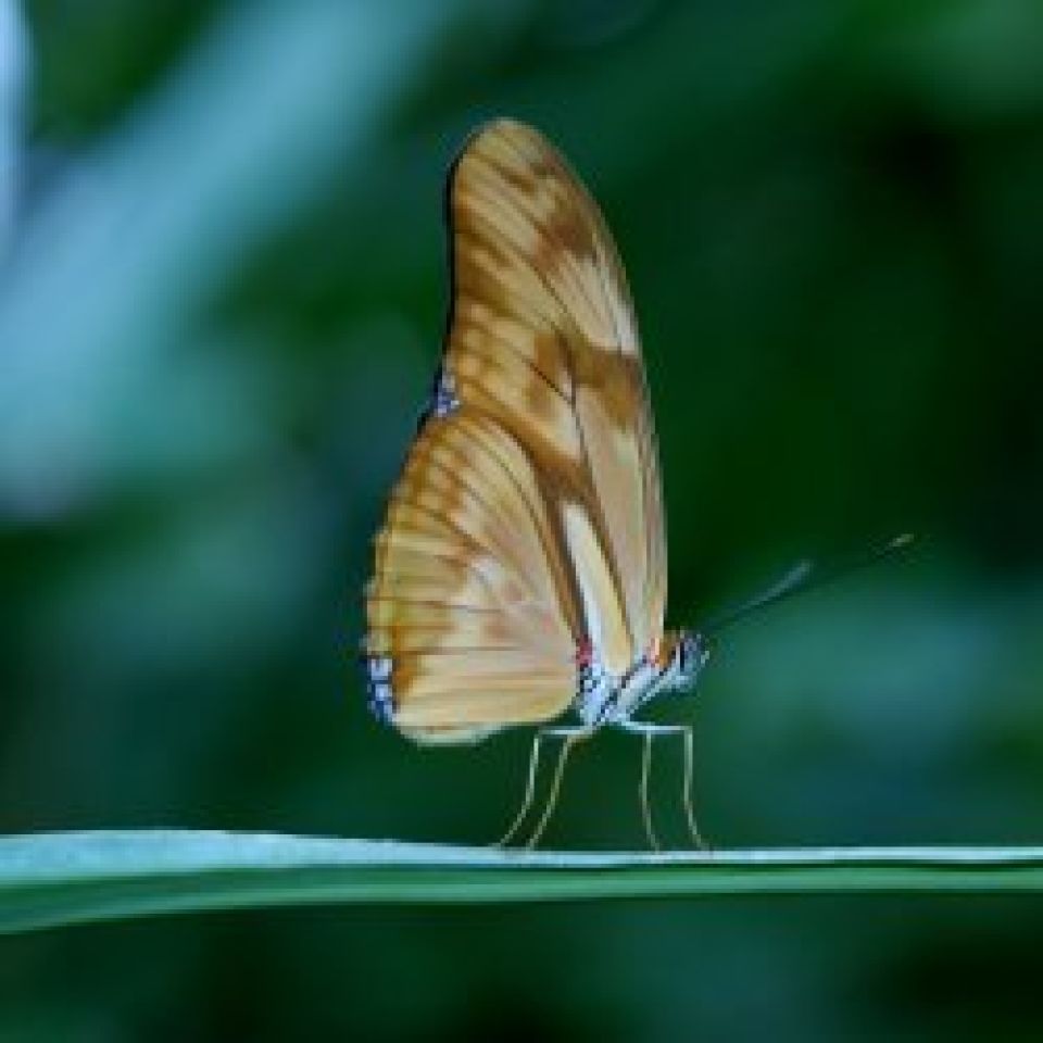 Jezelf volledig geven