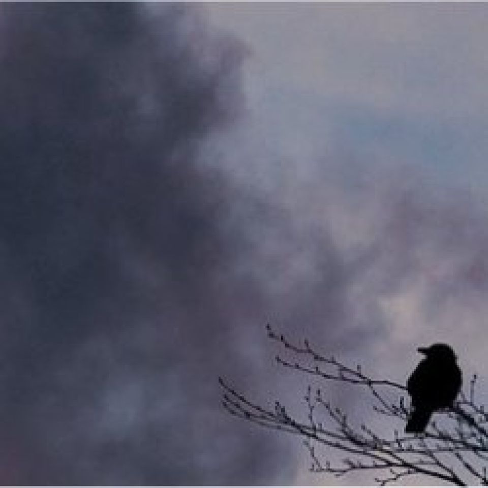 Vredig zijn in het lijden